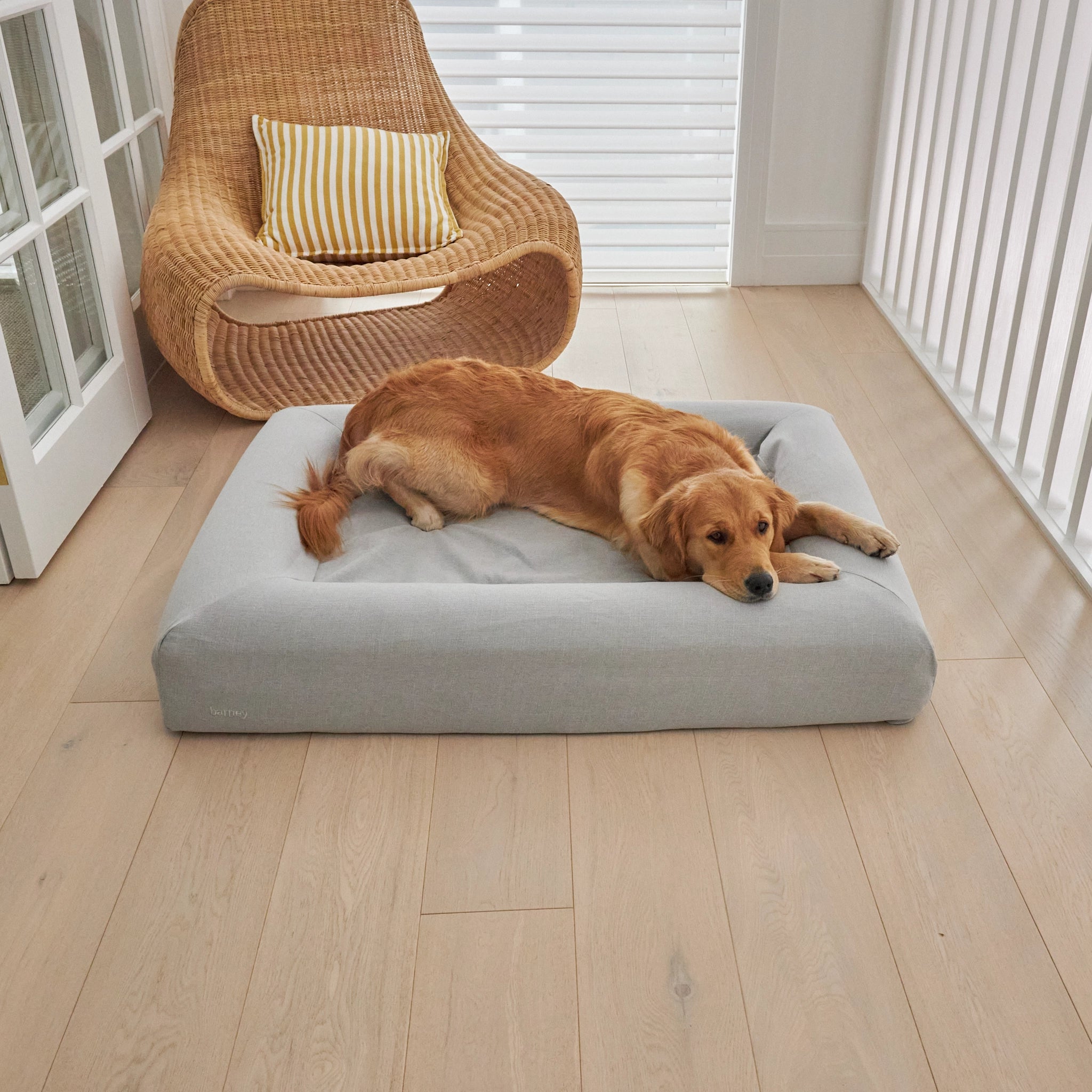 dogbed