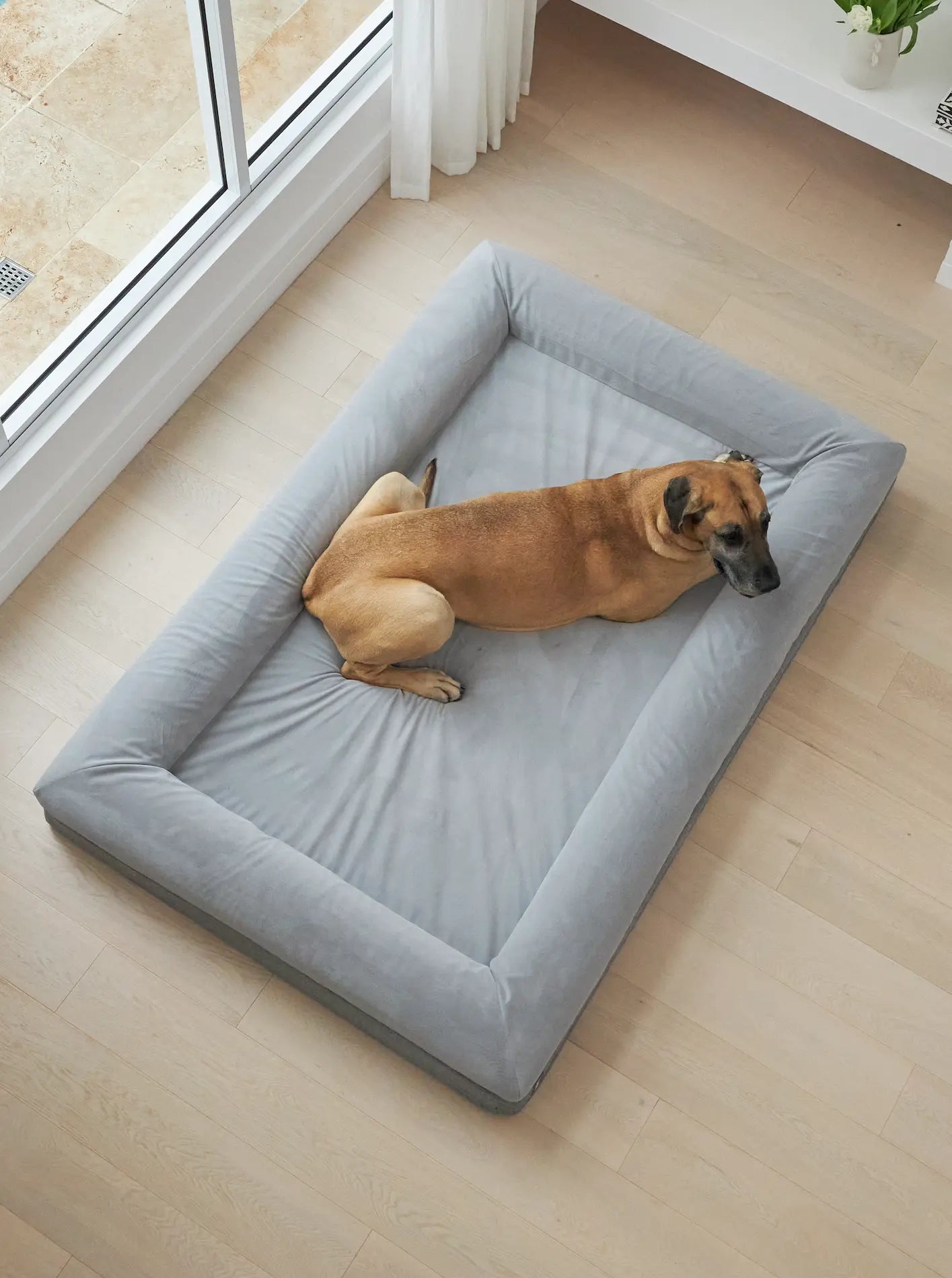 A large grey dog bed with a relaxed dog lying comfortably on it