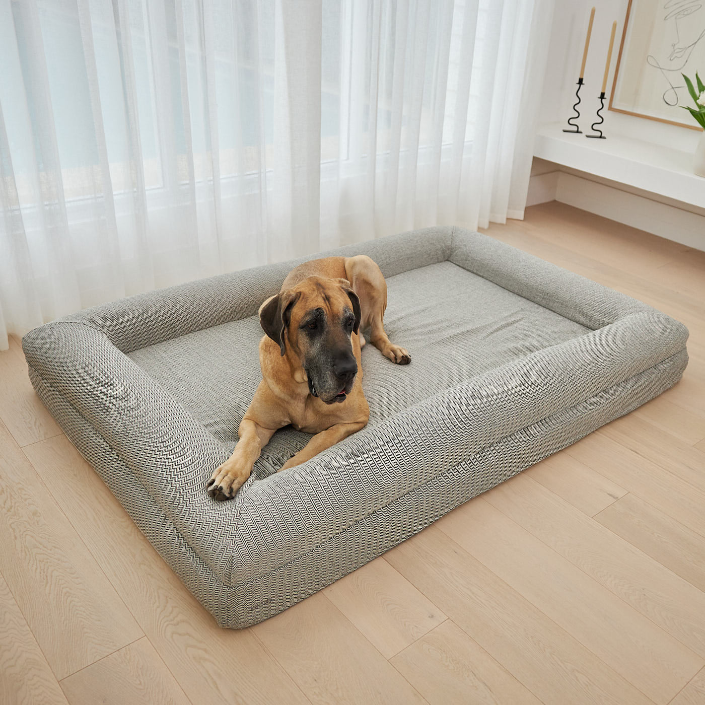 Large grey dog bed with a Great Dane lying comfortably on it