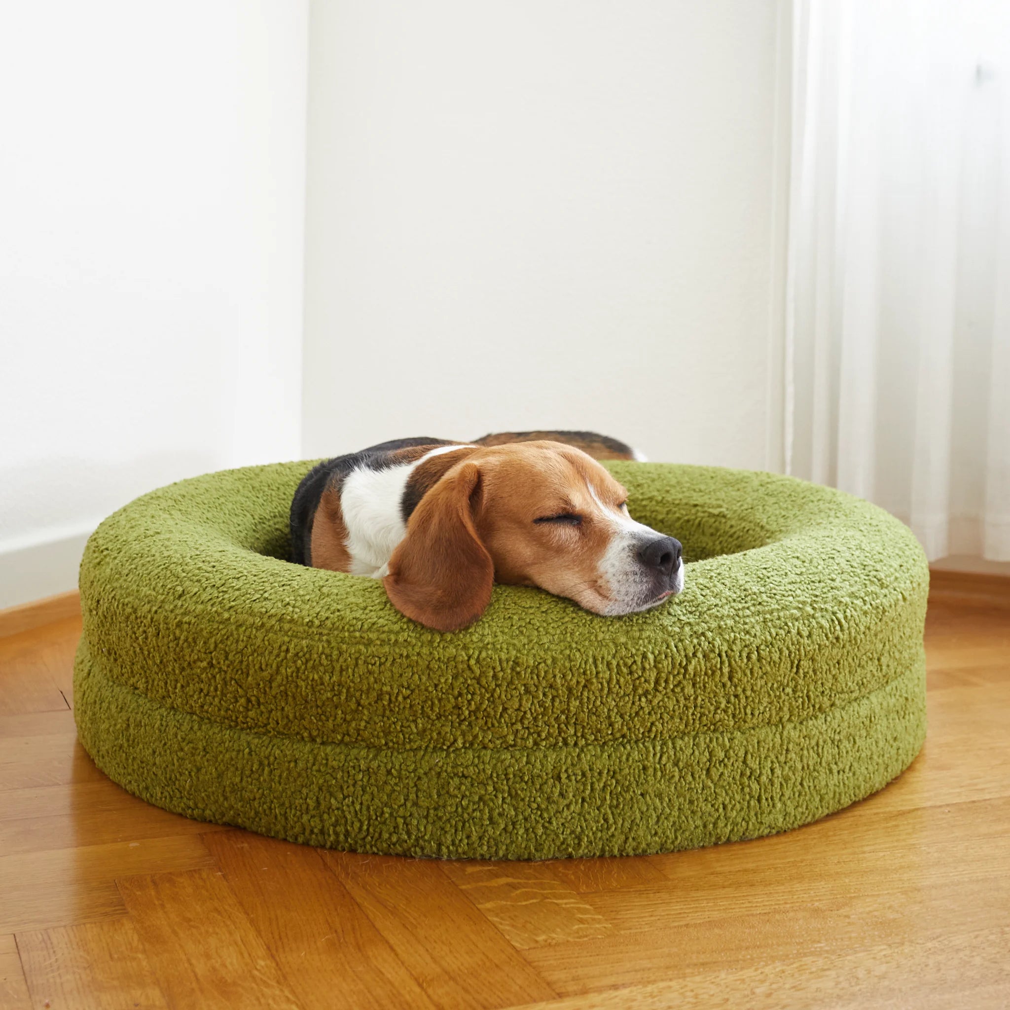 Beagle resting on a green pet bed
