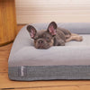 French Bulldog resting on a grey small dog bed
