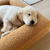 Golden Retriever puppy sleeping on a large tan dog bed