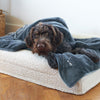 Wirehaired dog resting on a boucle pet bed with a grey blanket