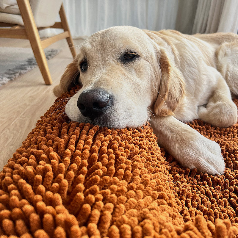 Golden Retriever resting on an orange dog mattress