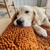 Golden Retriever resting on an orange dog mattress
