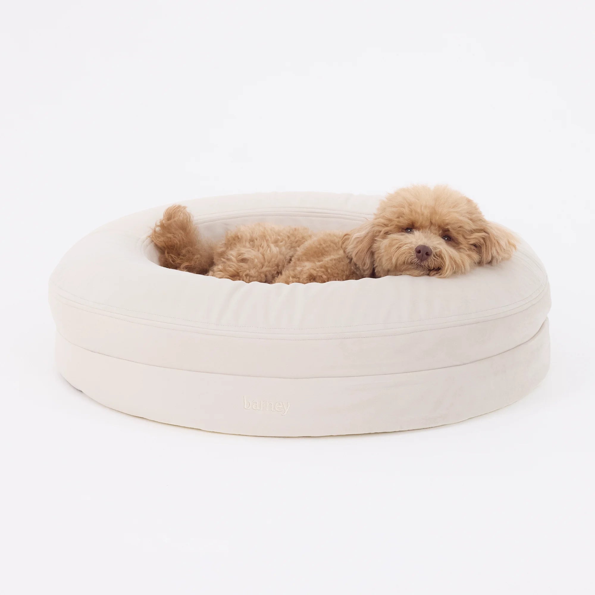 dogbed