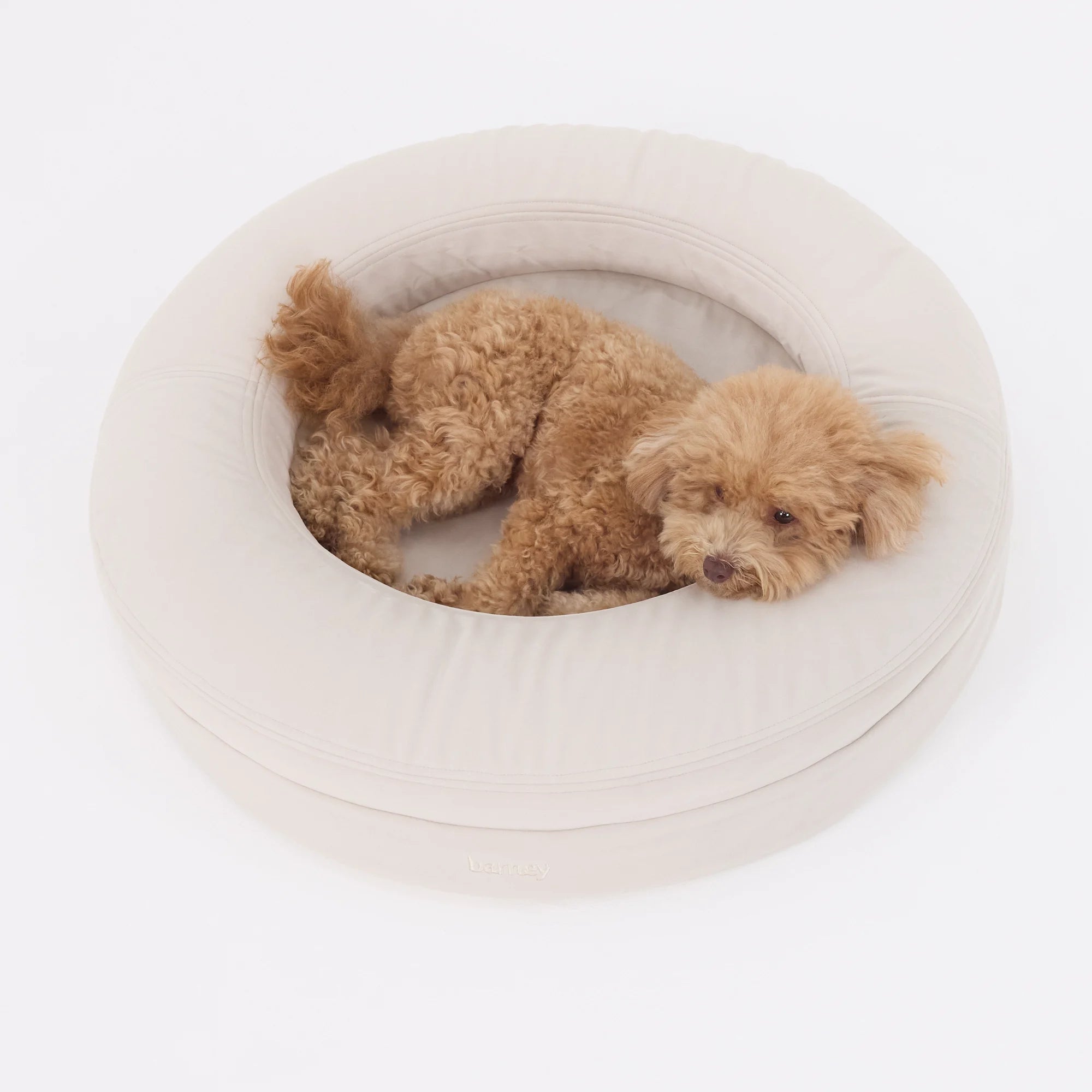 dogbed