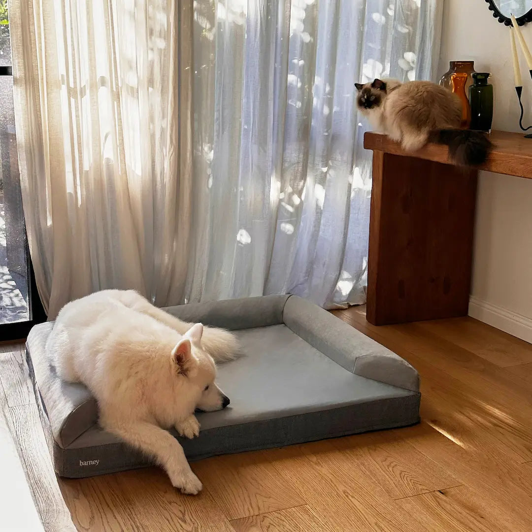 White dog resting on a grey pet bed with a cat nearby.