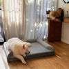 White dog resting on a grey pet bed with a cat nearby.