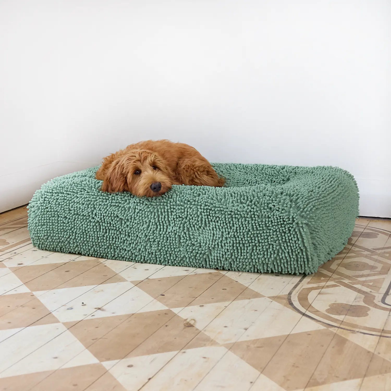 A Labradoodle resting on a green pet bed