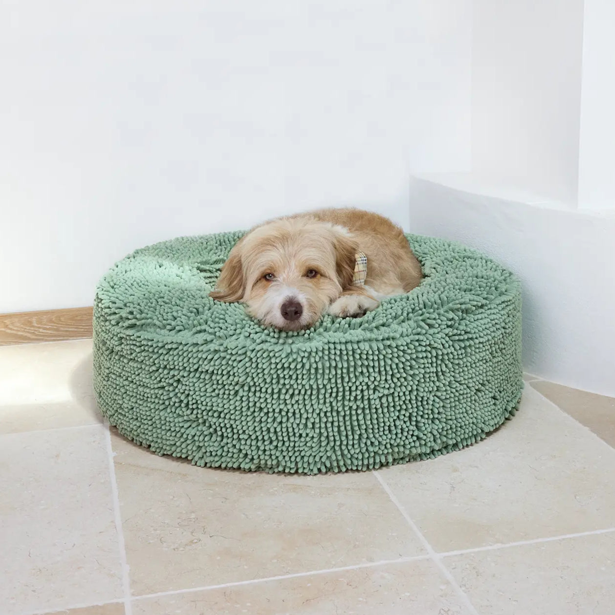 Small dog resting on a green pet bed