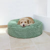 Small dog resting on a green pet bed