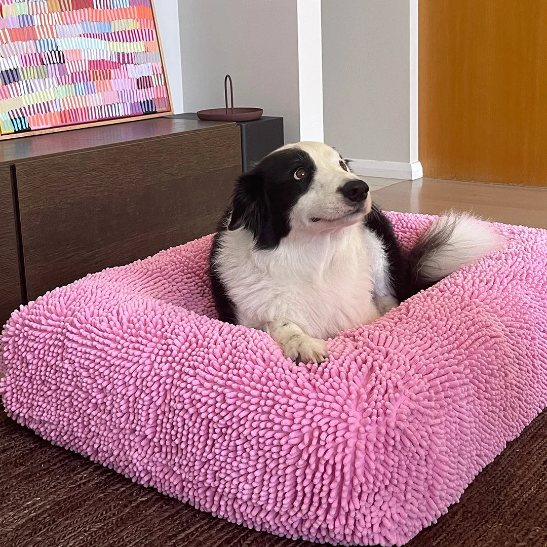 Border Collie resting on a pink dog bed
