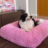 Border Collie resting on a pink dog bed