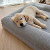 Golden Retriever puppy sleeping on a grey dog mattress