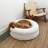 Cocker Spaniel resting comfortably on a white pet bed