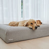 Golden Retriever resting on a grey cooling cover dog bed