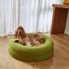 Cocker Spaniel resting on a green pet bed