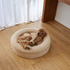 Cocker Spaniel resting comfortably on a beige pet bed