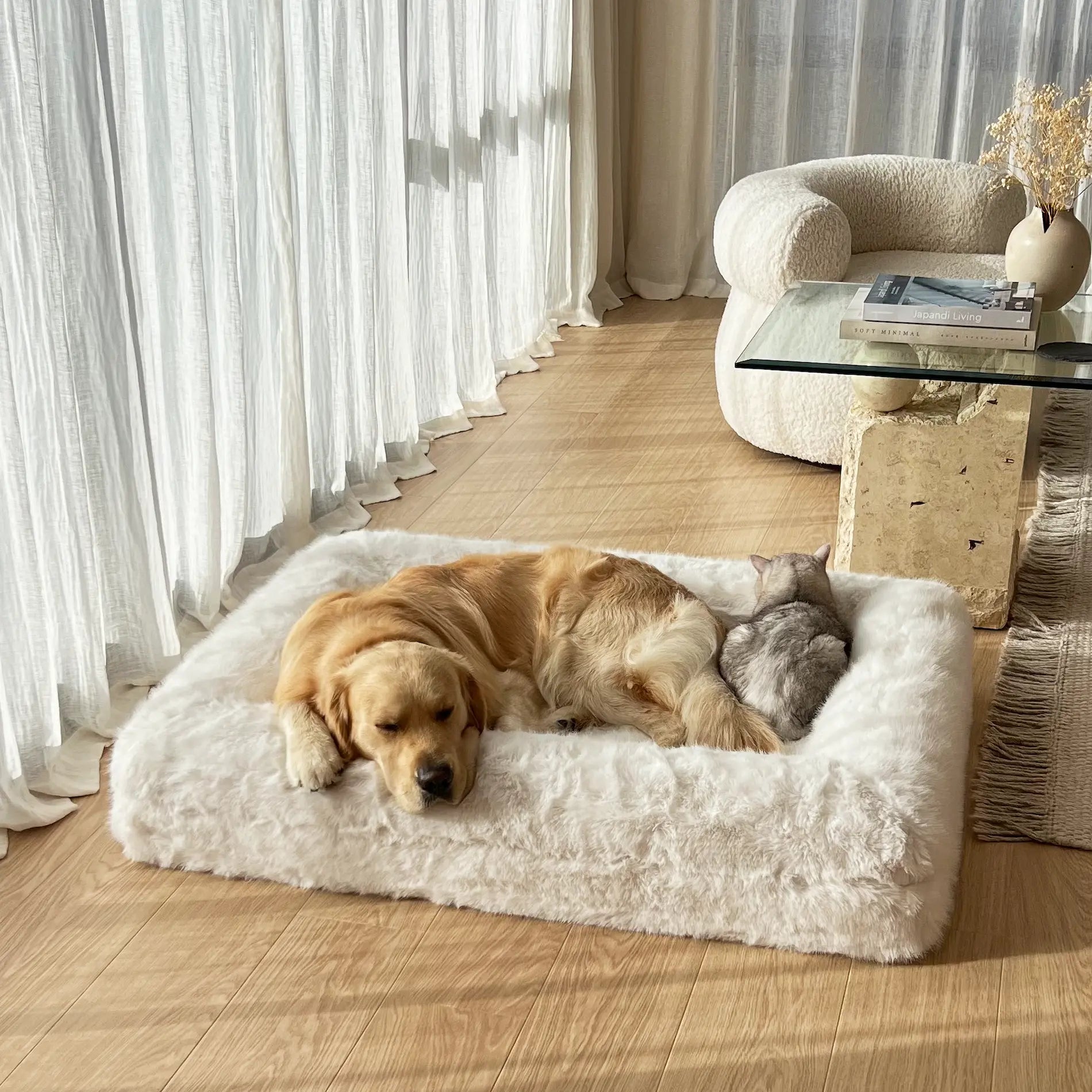 Golden retriever and cat resting on a white luxury dog bed