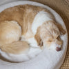 A fluffy dog sleeps comfortably on a linen-coloured pet bed.