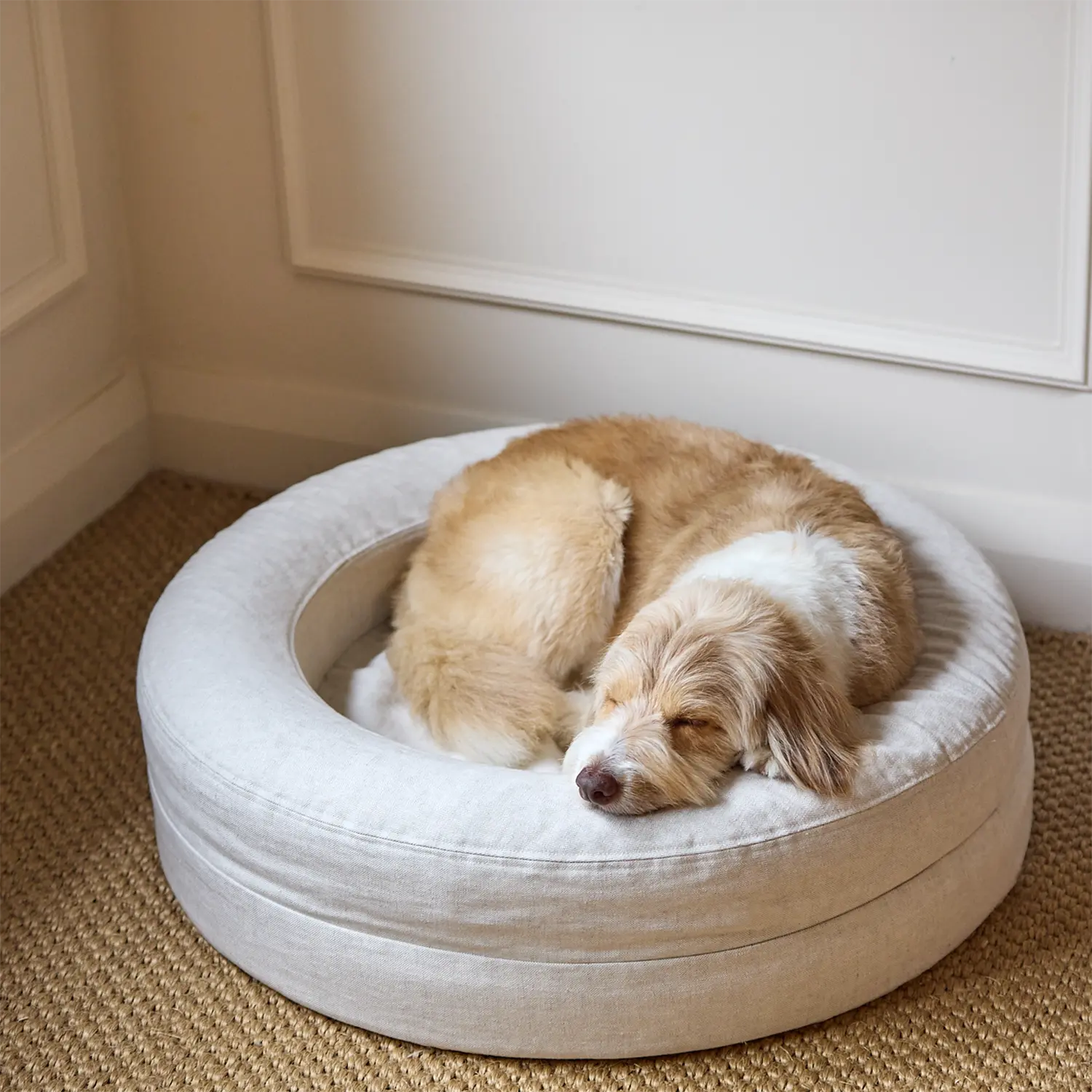 A dog sleeps comfortably on a linen-coloured pet bed