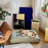 image-products/BB-OLIVE-3.jpg
