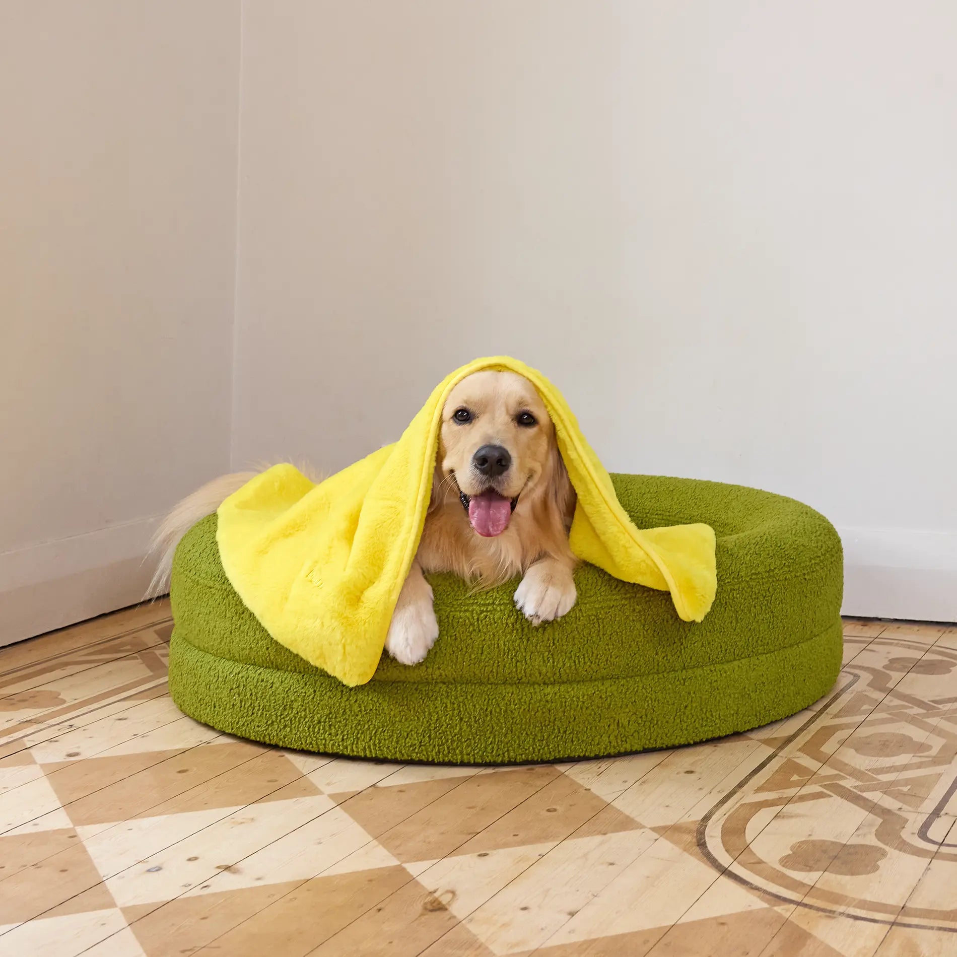 Golden Retriever lying on a green dog bed with a yellow blanket draped over its head