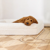 Labradoodle resting on a milk-coloured pet bed