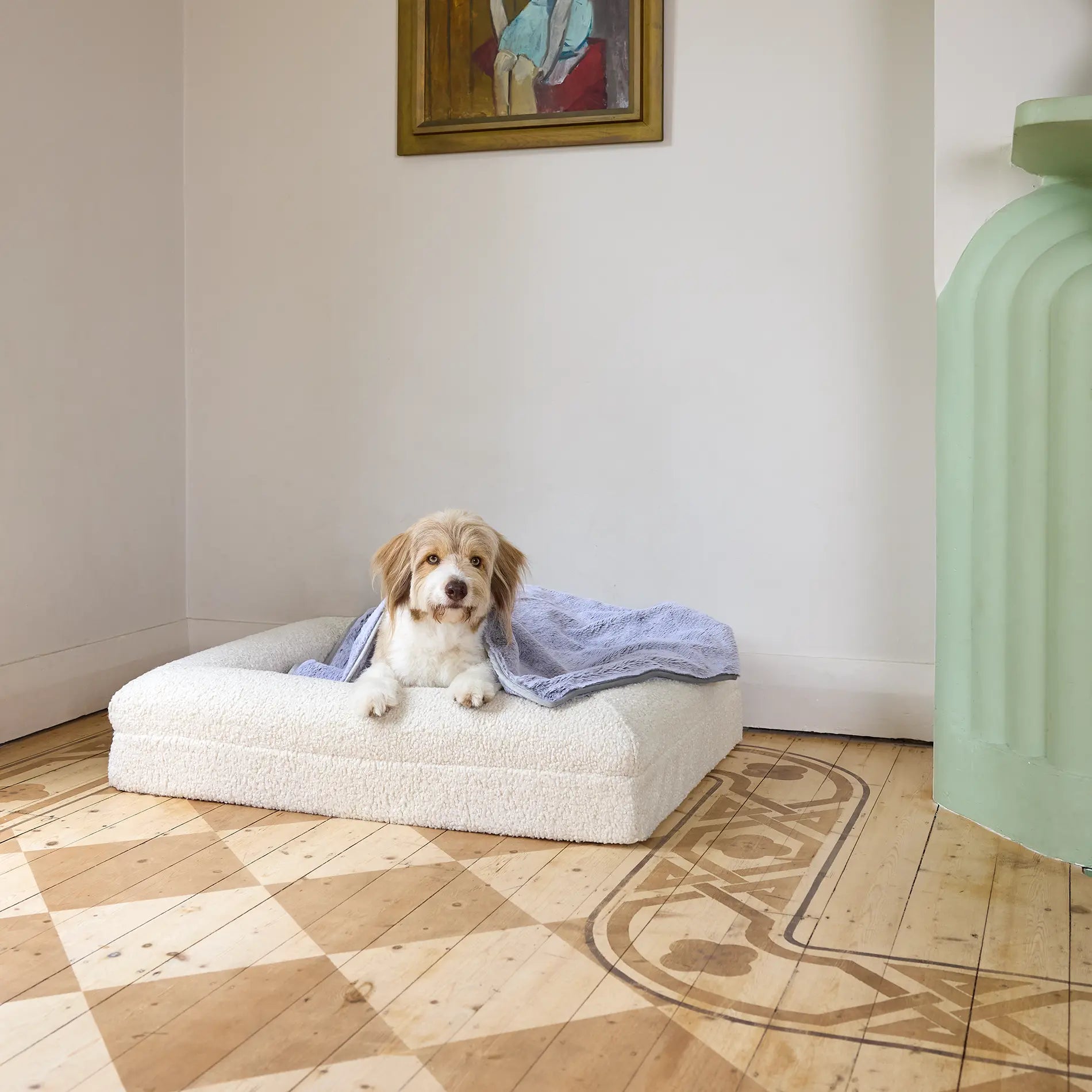 Small dog on a cream dog bed with a light blue blanket
