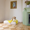 A fluffy dog sits on a large cream pet bed with a bright yellow blanket