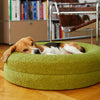 Beagle resting comfortably on a green dog bed
