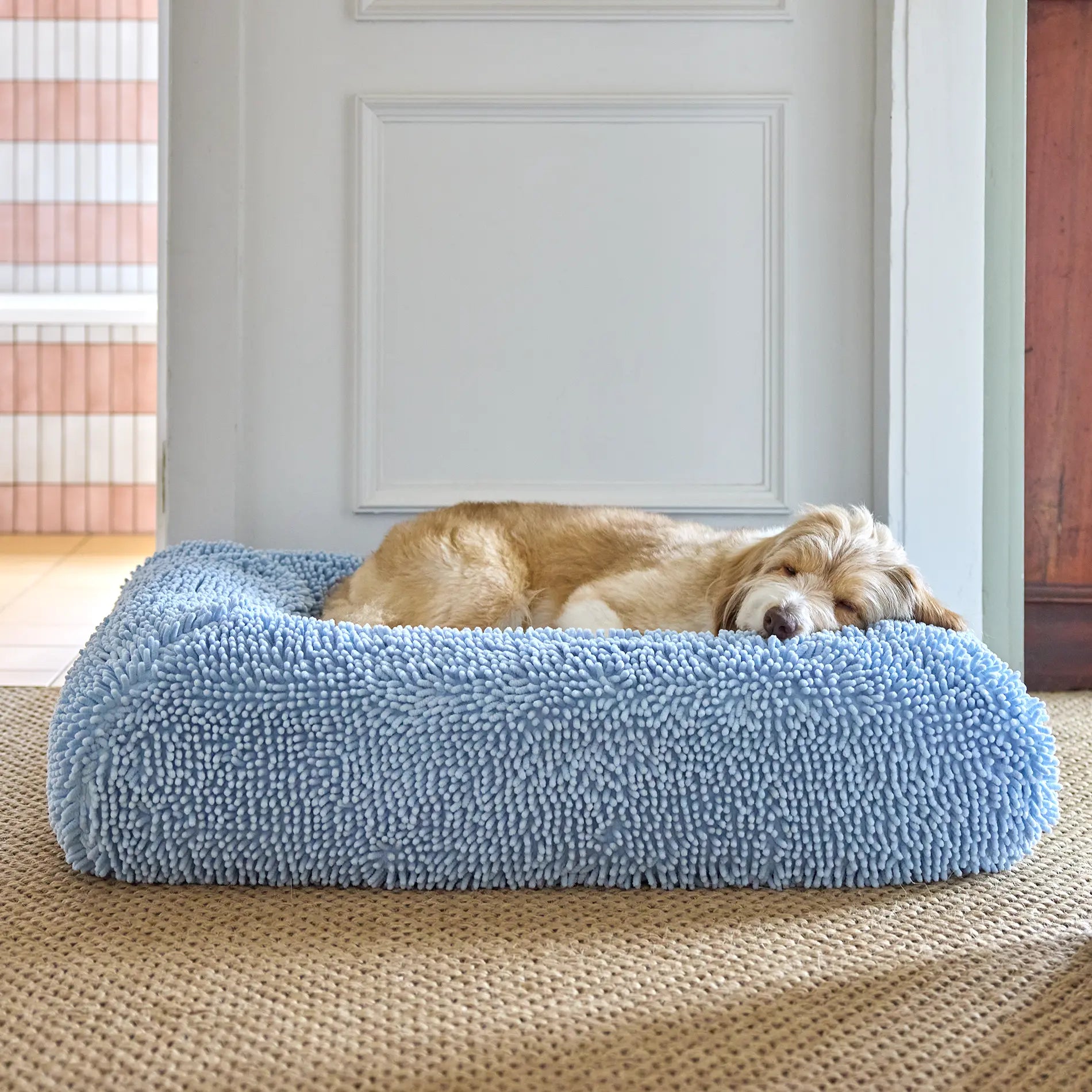 Golden dog resting on a powder blue dog bed
