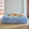 Golden dog resting on a powder blue dog bed