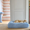 A fluffy powder blue dog bed with a relaxed dog resting comfortably on it.