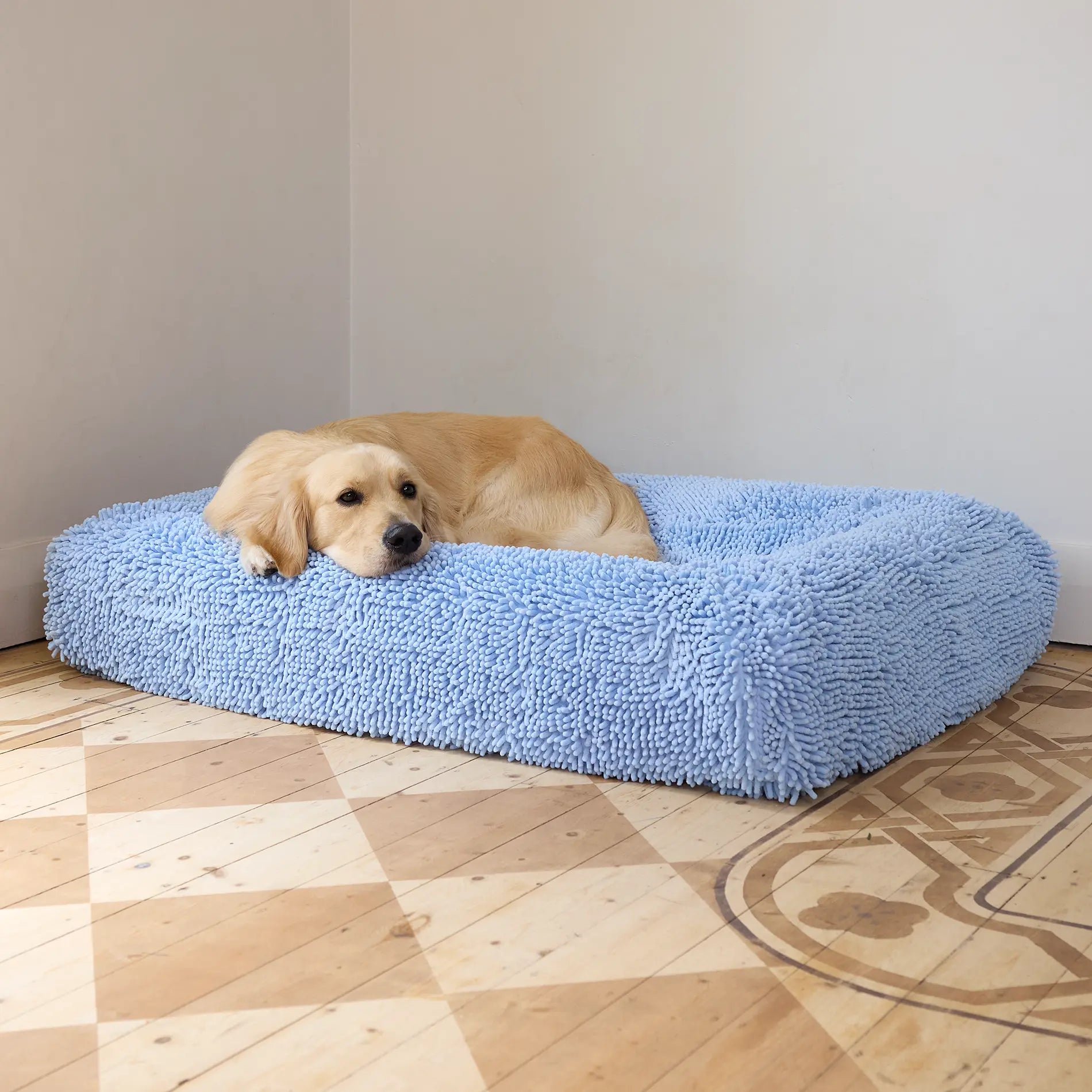 Golden retriever resting on a powder blue dog bed
