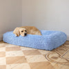 Golden retriever resting on a powder blue dog bed