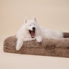 Samoyed dog yawning on a large brown pet bed
