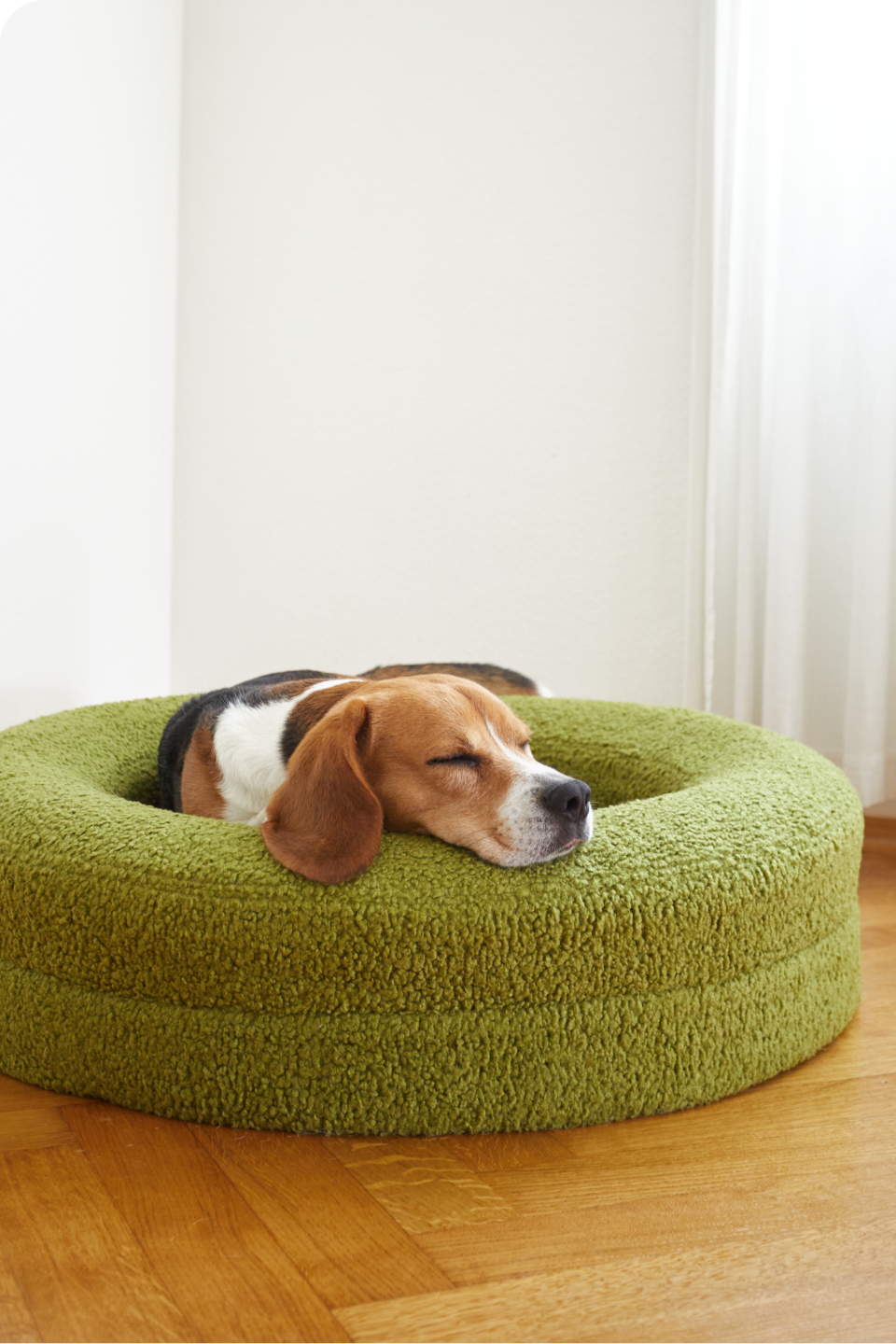 BarneyCurl Cover in Matcha