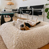 Beagle relaxing on a small, cream-coloured dog bed in a modern living room setting