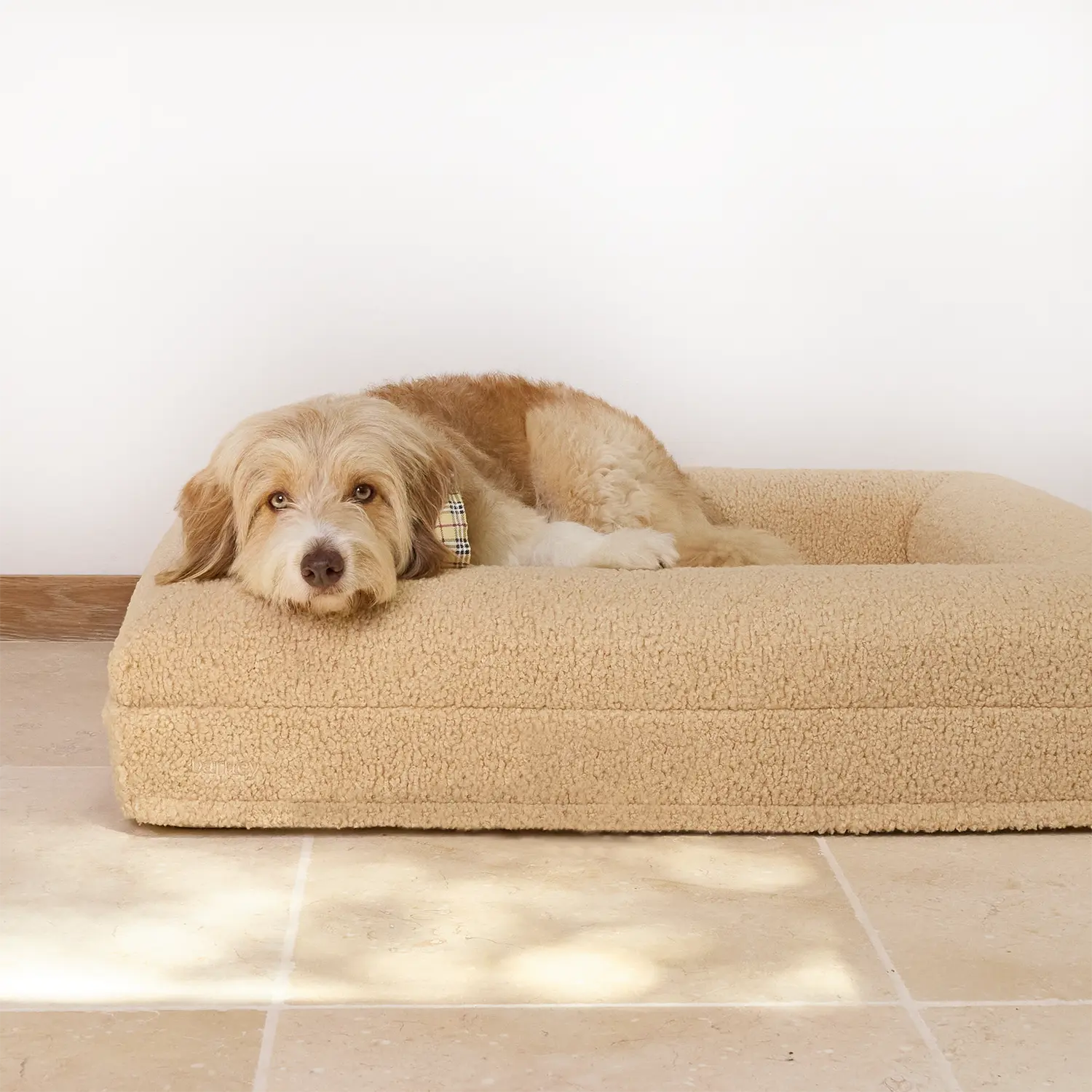 A fluffy dog rests comfortably on a large beige pet bed.