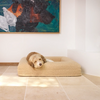 Australian Labradoodle resting on a beige dog bed