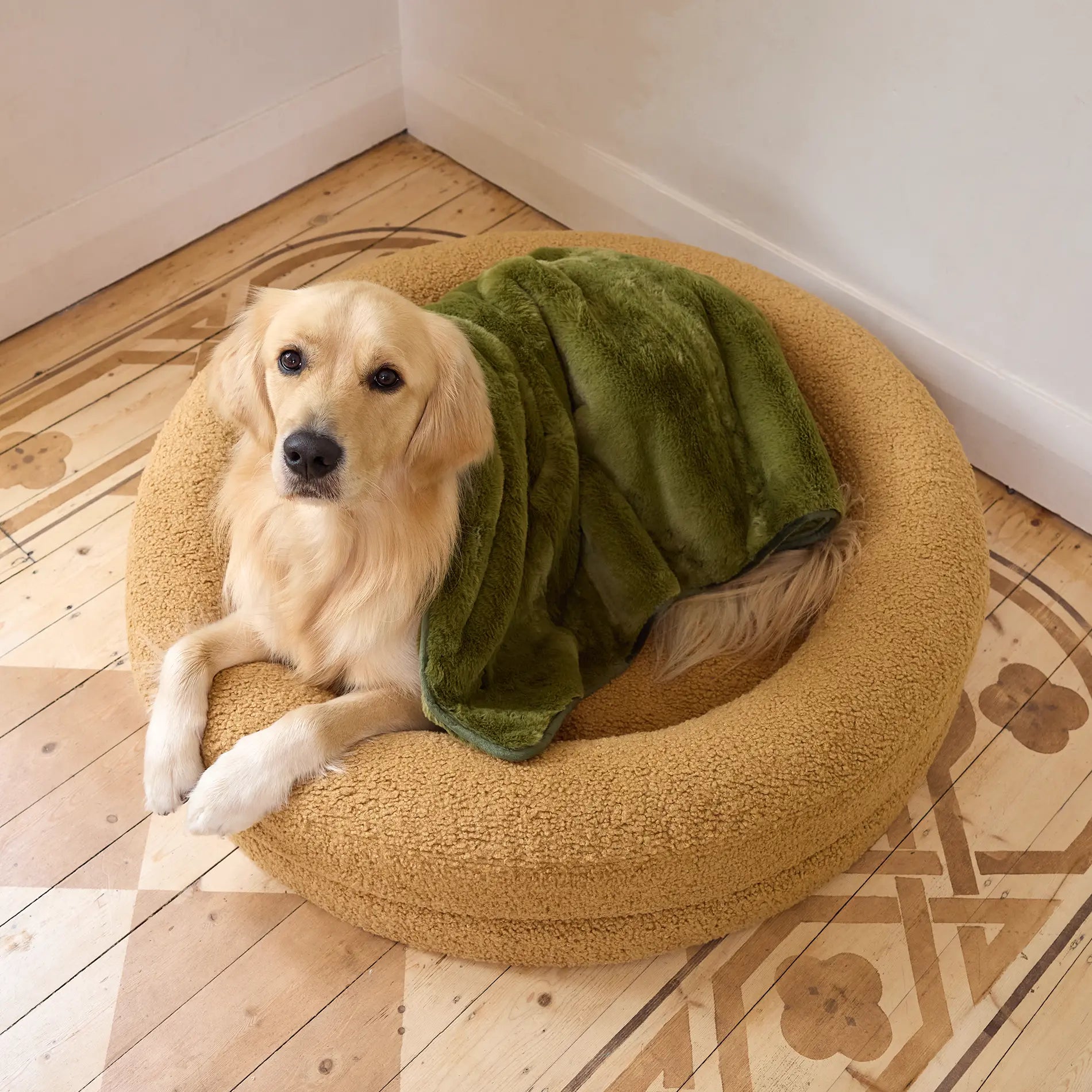 Golden Retriever lying on a moss green luxury dog bed