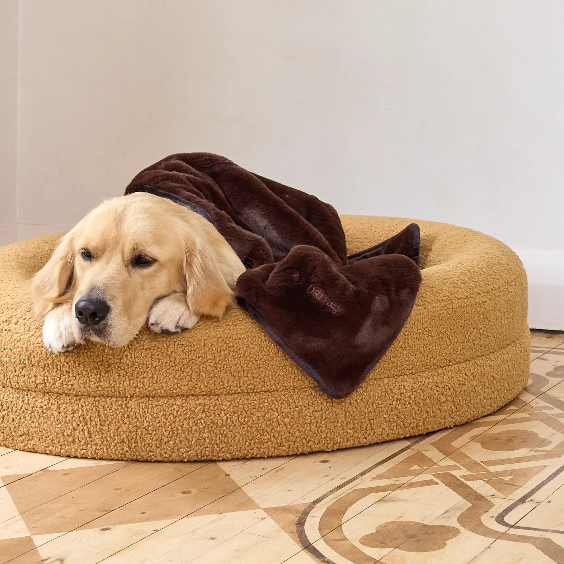 Golden Retriever resting on a large, round, golden pet bed with a brown blanket