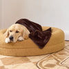 Golden Retriever resting on a large, round, golden pet bed with a brown blanket