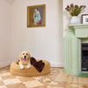 Golden Retriever lying on a medium-sized mud-coloured dog bed with a brown blanket