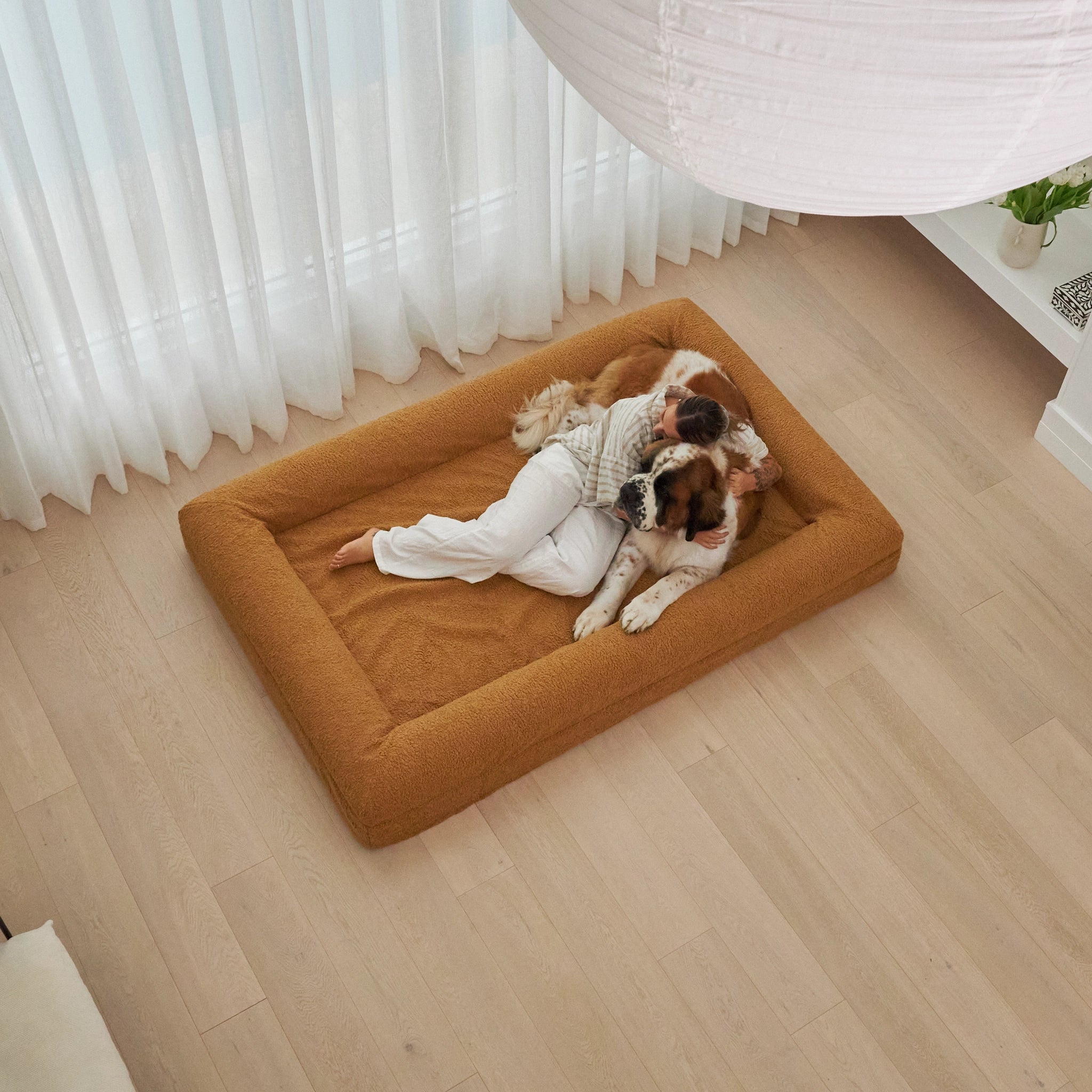 dogbed