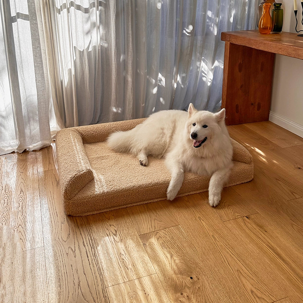 dogbed