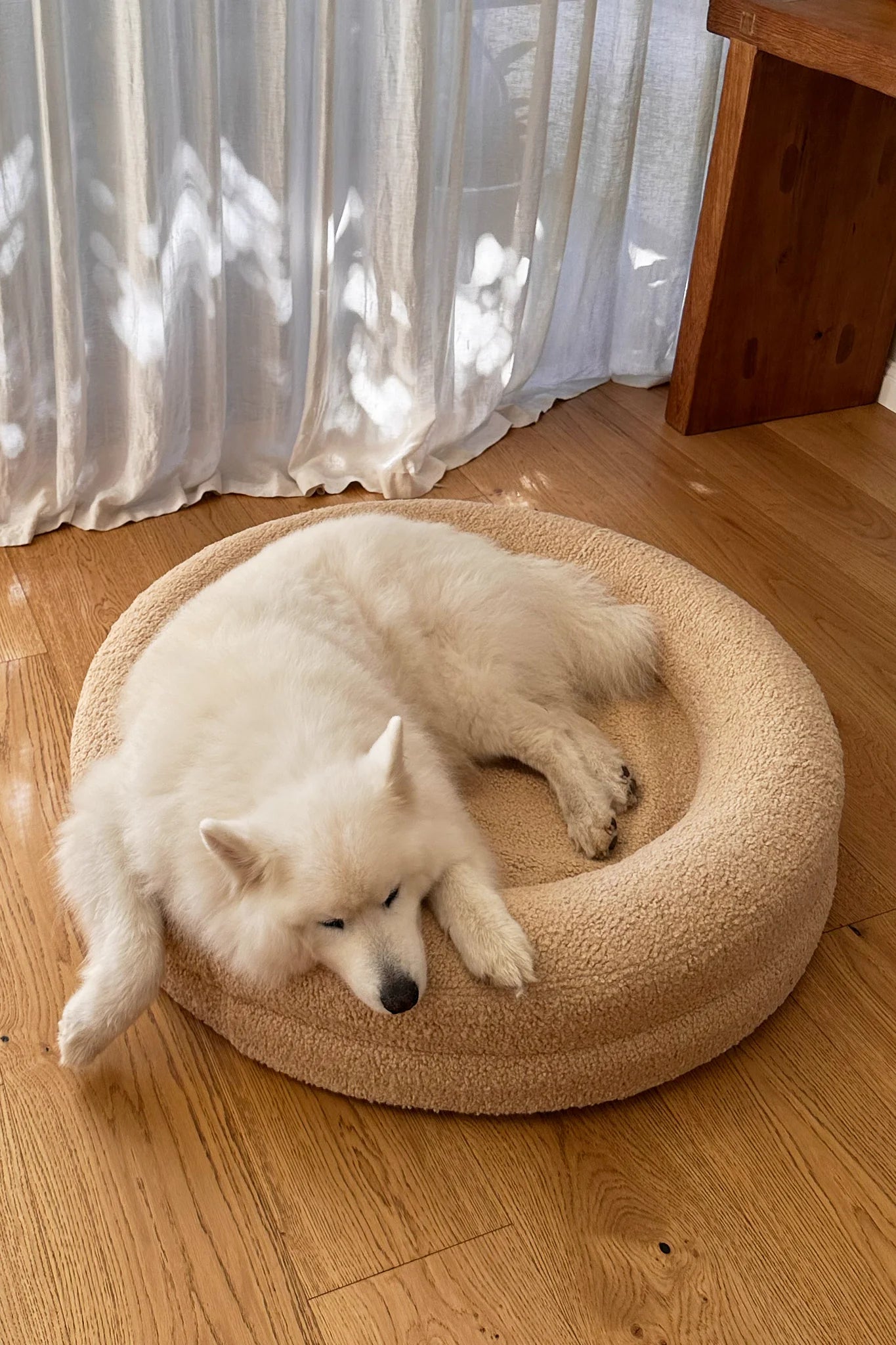 BarneyCurl Cover in Rice Pudding