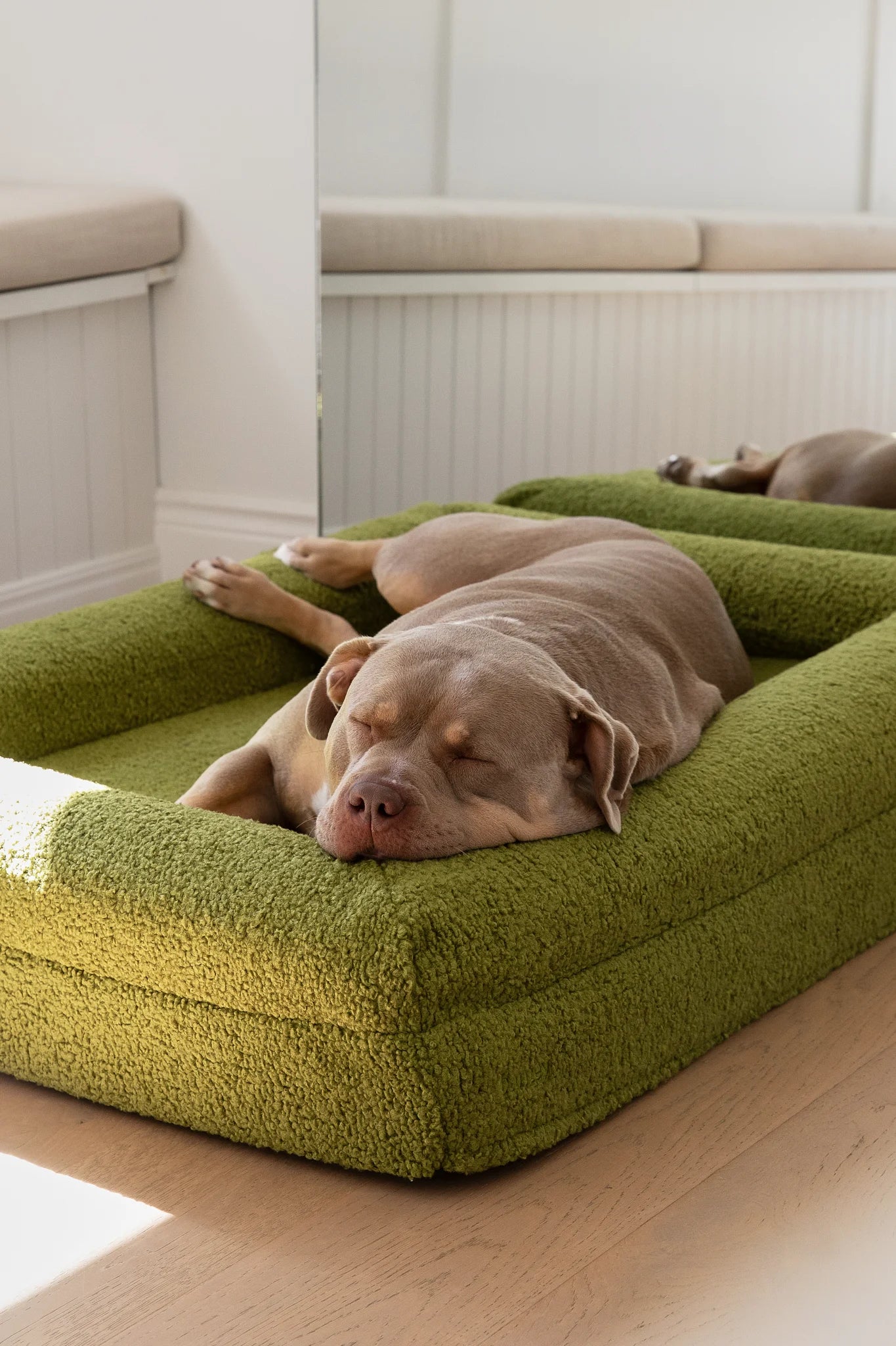 Teddy Cover in Matcha